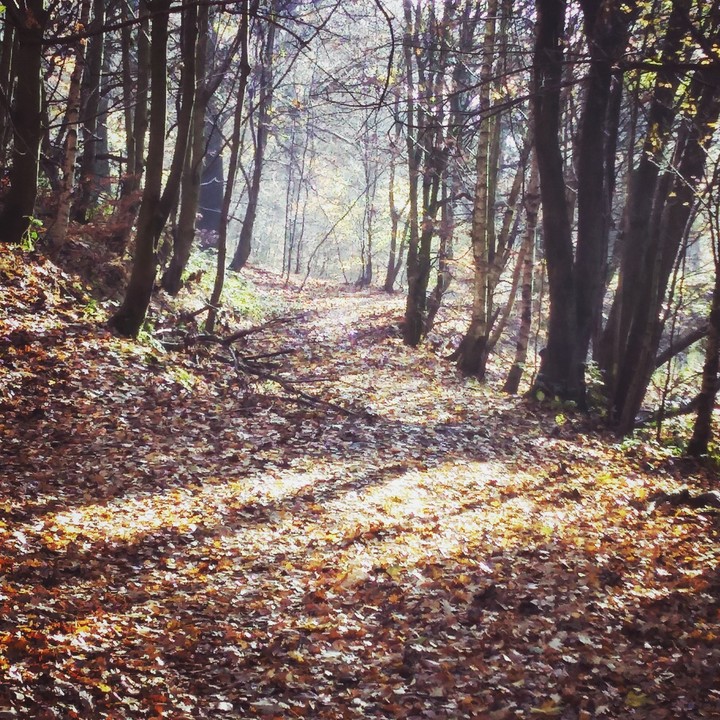 path to the lake