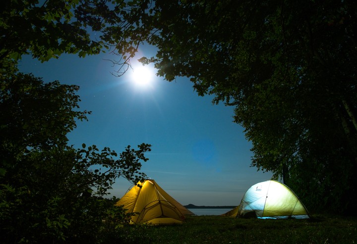 Tents Camping Trees