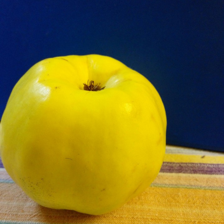 Quince's smell is telling a story from heaven...
