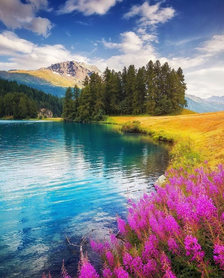 LAKE VIEW