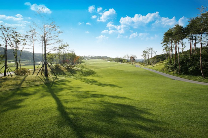 Golf Course