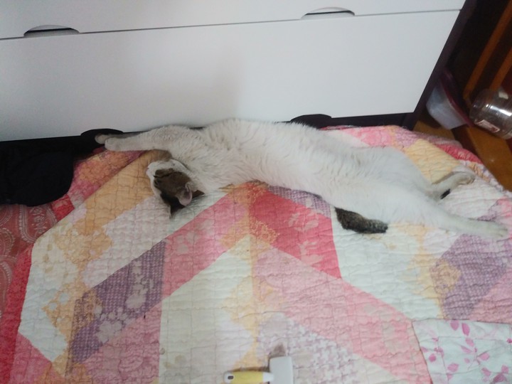 으허