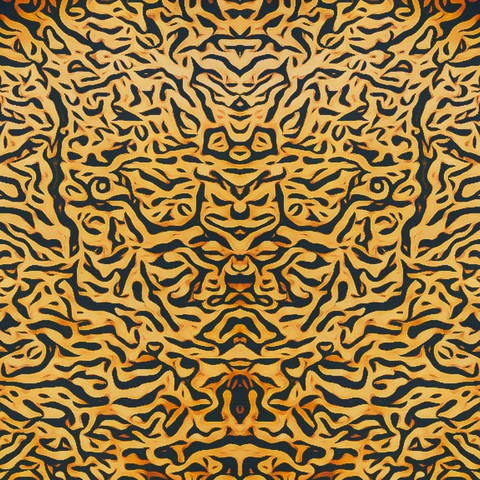 The Face Illusion