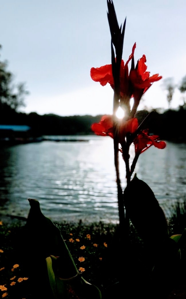 sun..my click