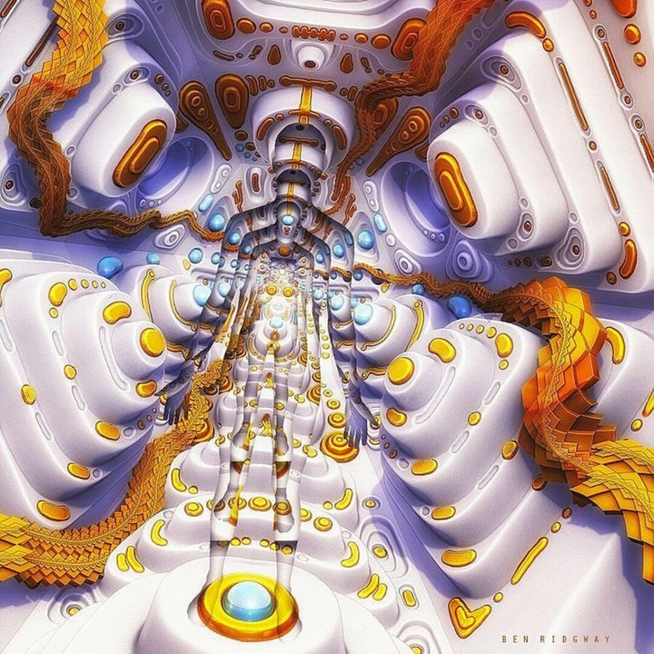 Trip