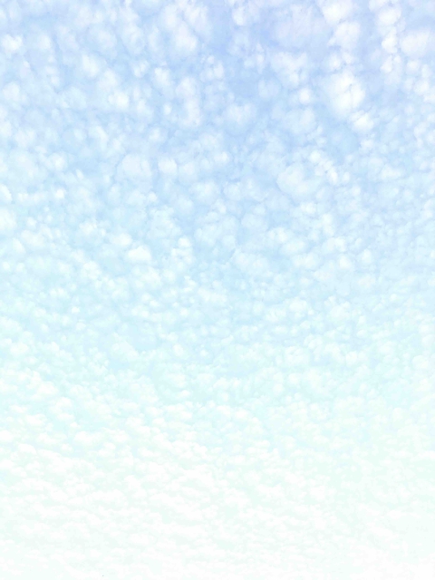 sky•