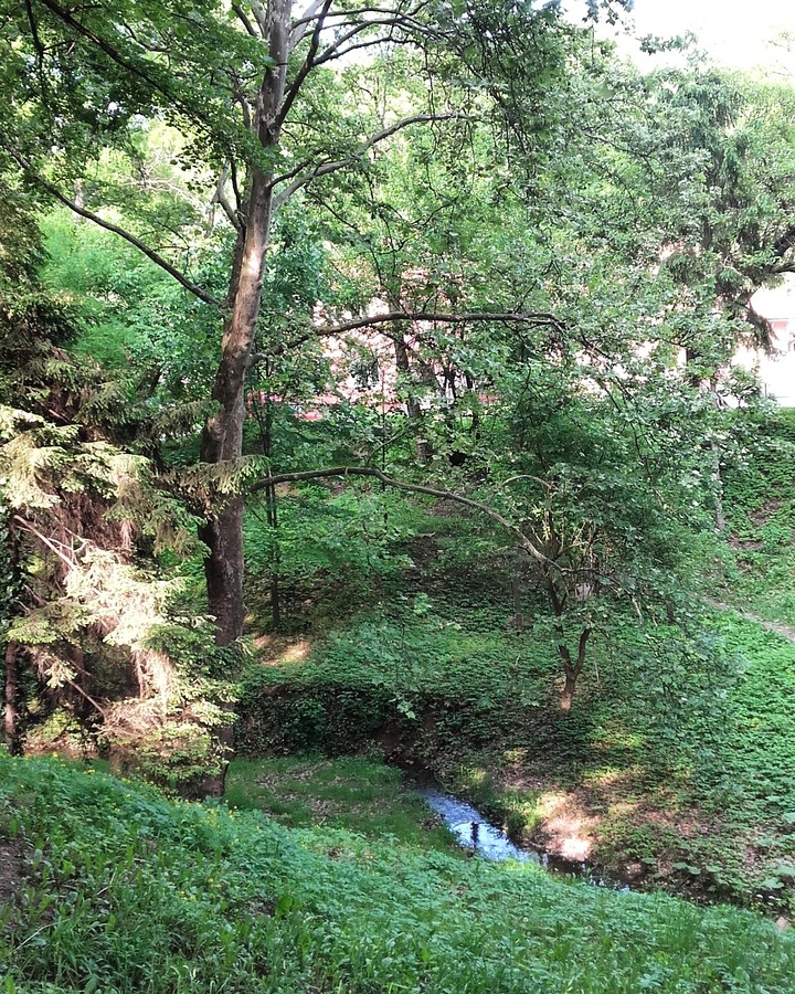 Dvorska Bašta, Sremski Karlovci