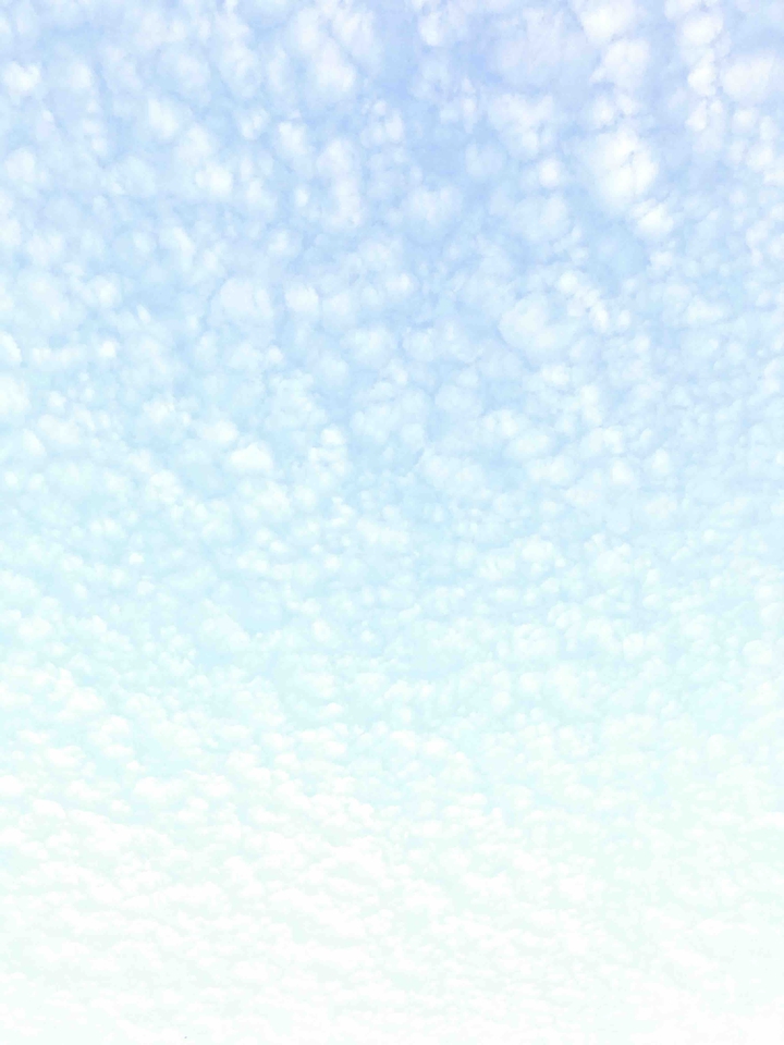 sky•