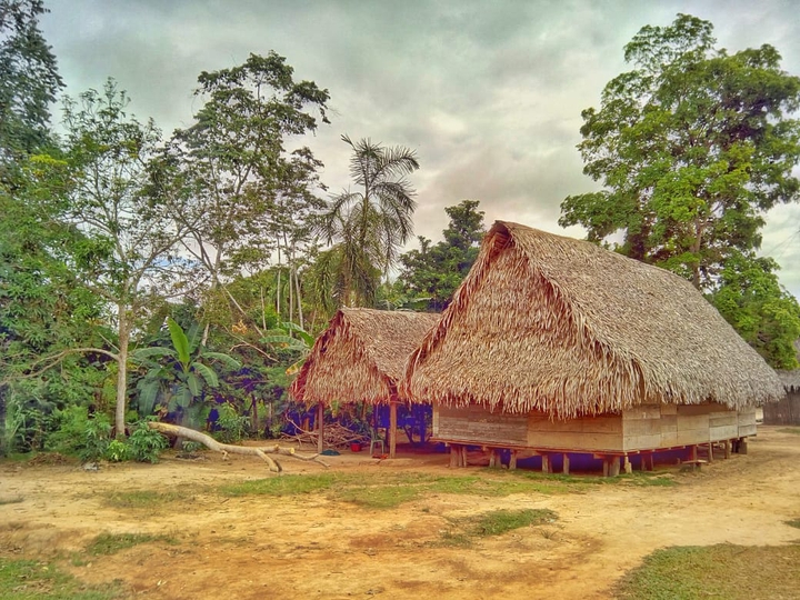 Shipibo tribe