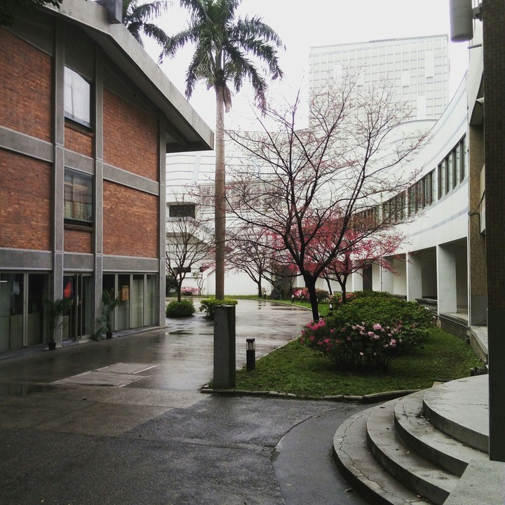 NTUA_sakura