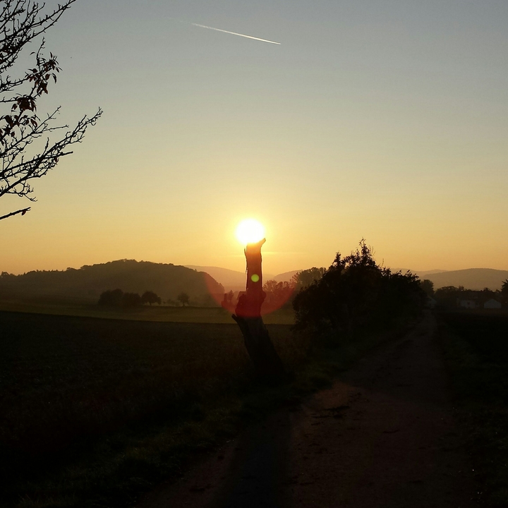 The sun over a tree!