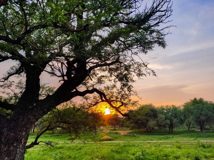 beautiful sunset