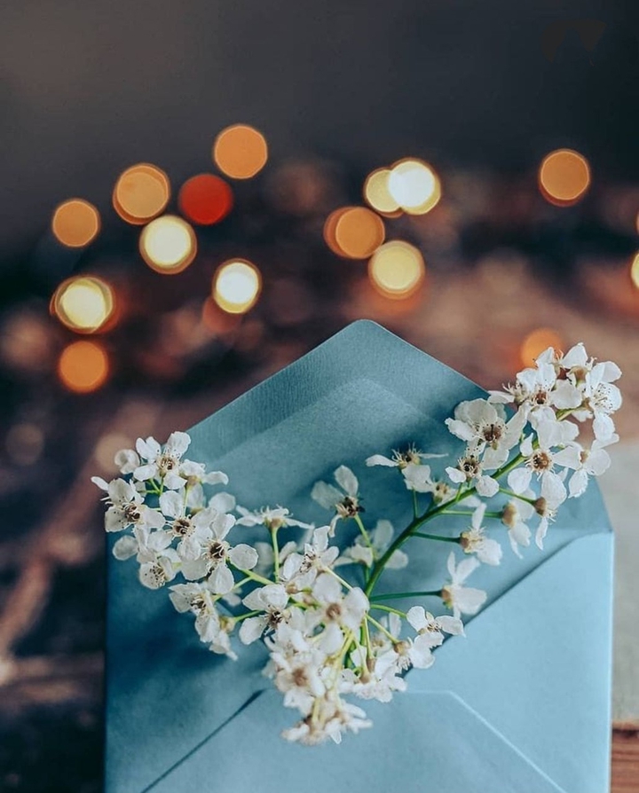 for you♡