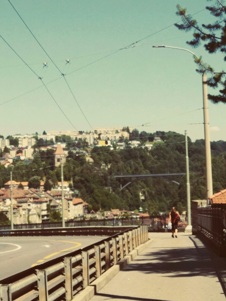 Route des Alpes Fribourg Suisse
