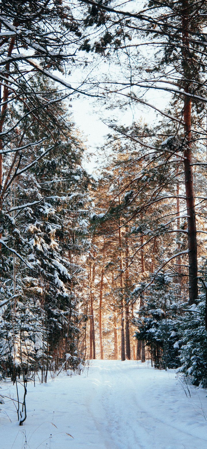winter