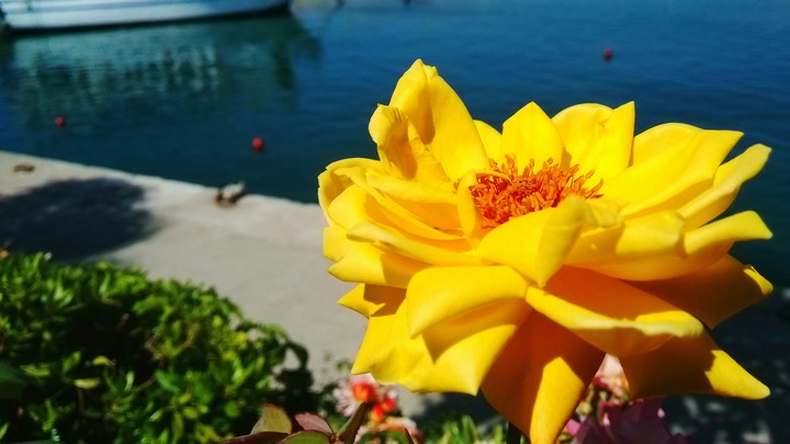 manavgat