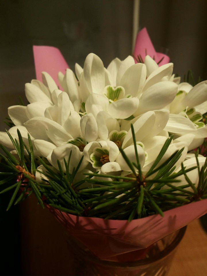 spring flowers
