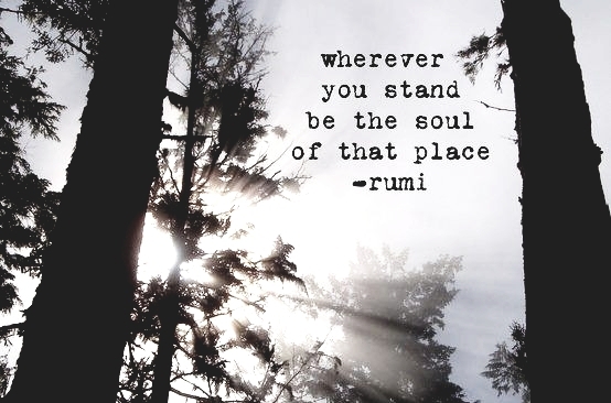 Rumi