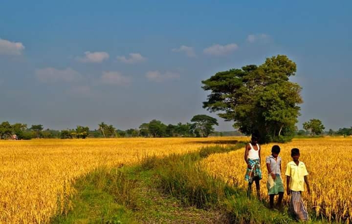 village life