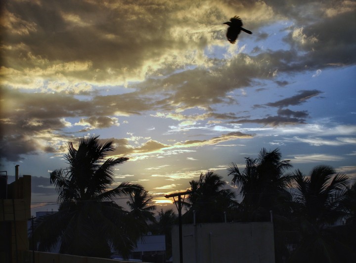 Evenings