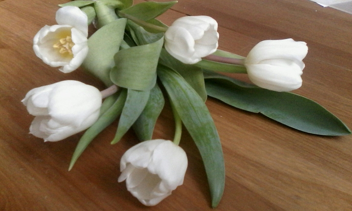 Spring flowers