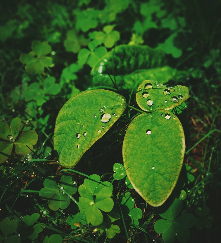 #naturesbeauty