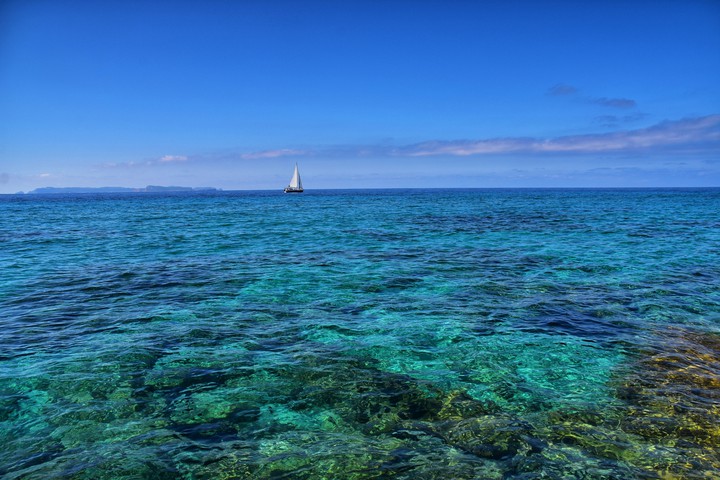 Green sea