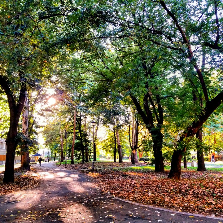 autumn