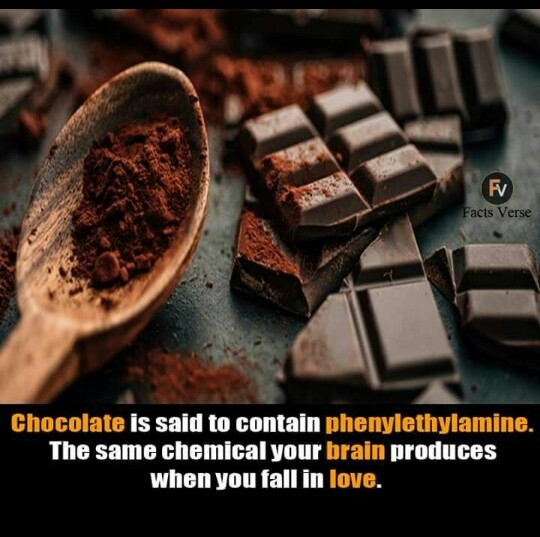 Chocolate vs Love