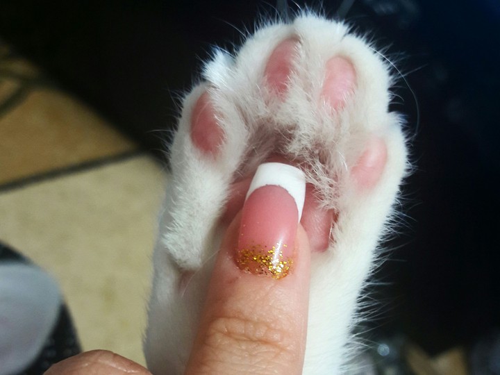 nails