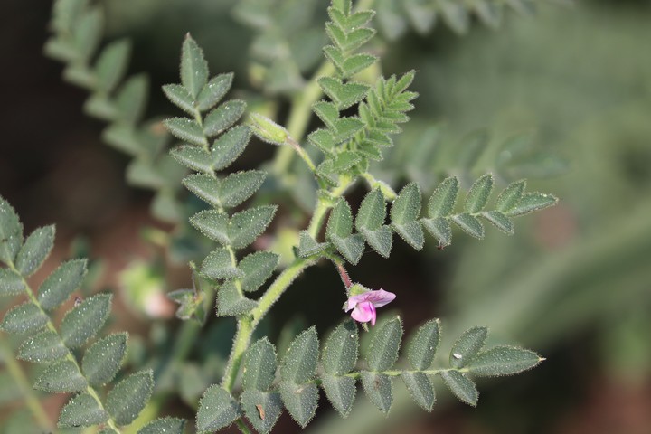 Beautiful nature