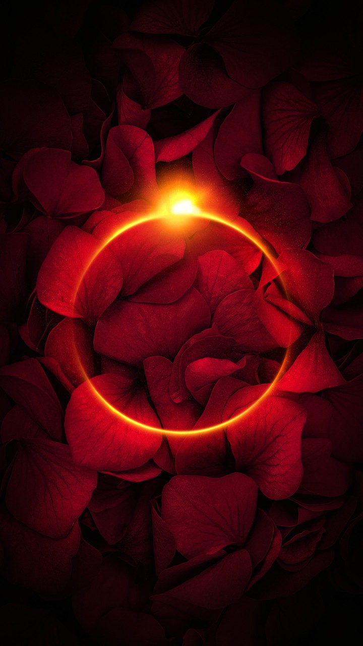 Sun of leaf