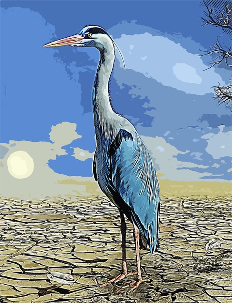 обои wetland, bird