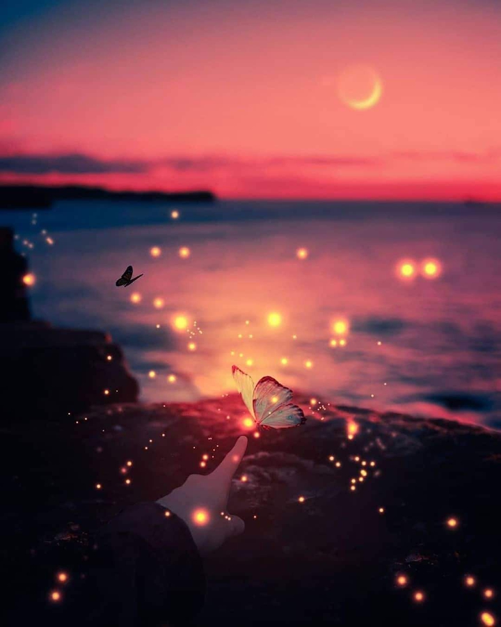nature