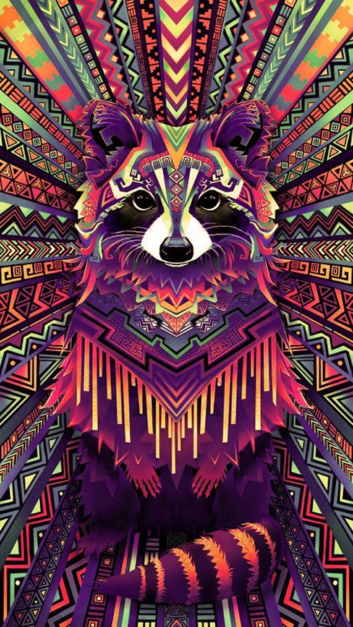 Racoon