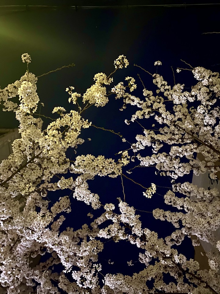 spring