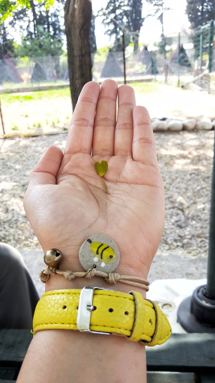 heart leaf :)