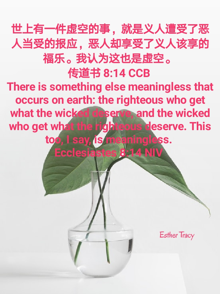 meaning in life