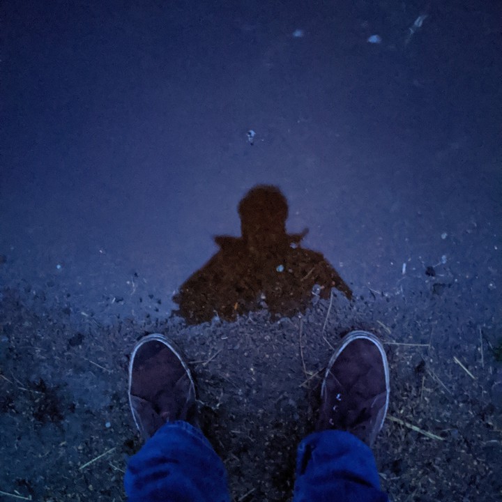 Self-Reflection