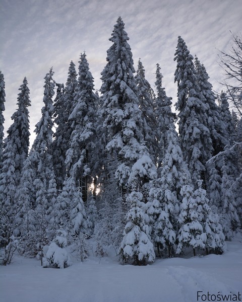 Winter