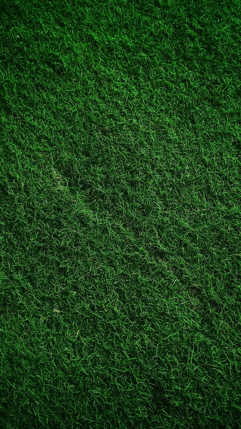 grass