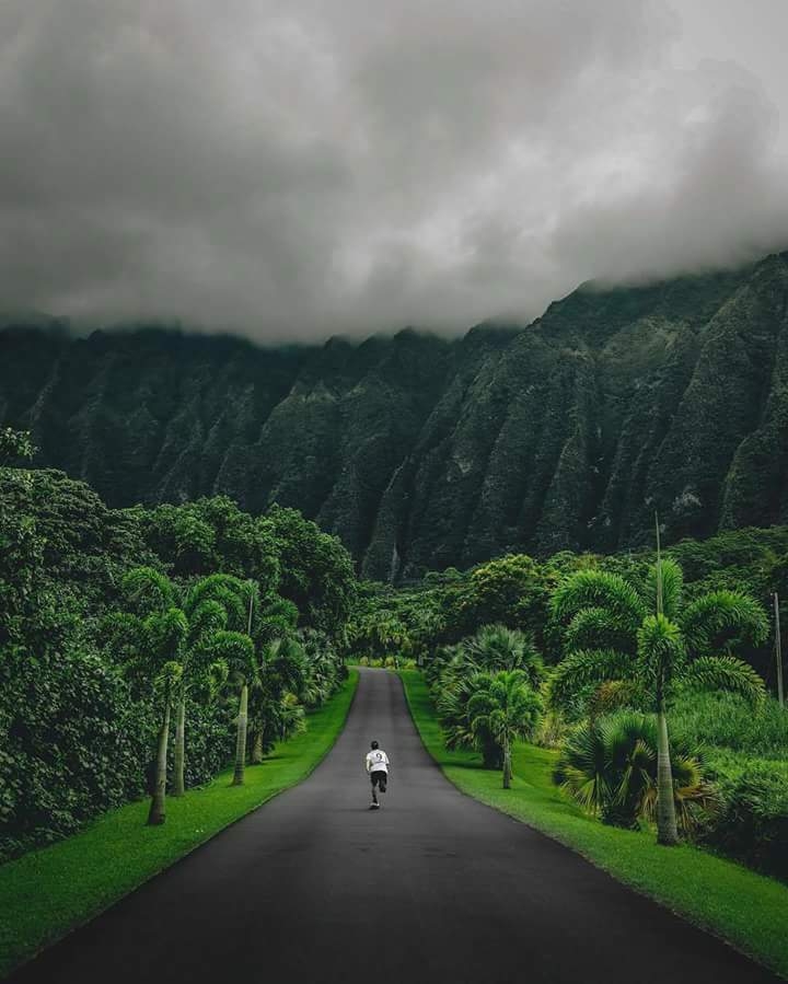 Nature life