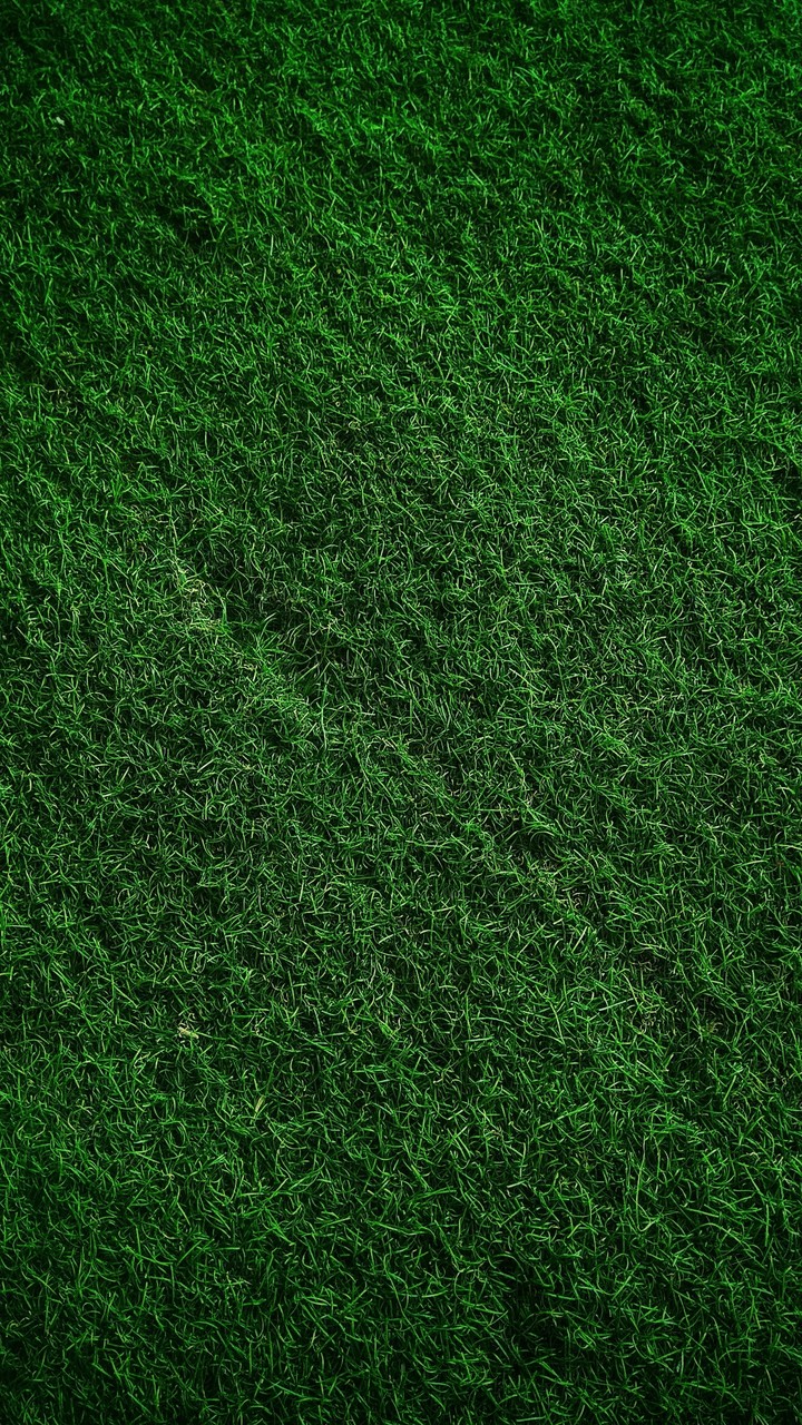 grass