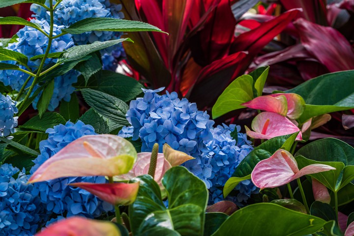 Beautiful colors