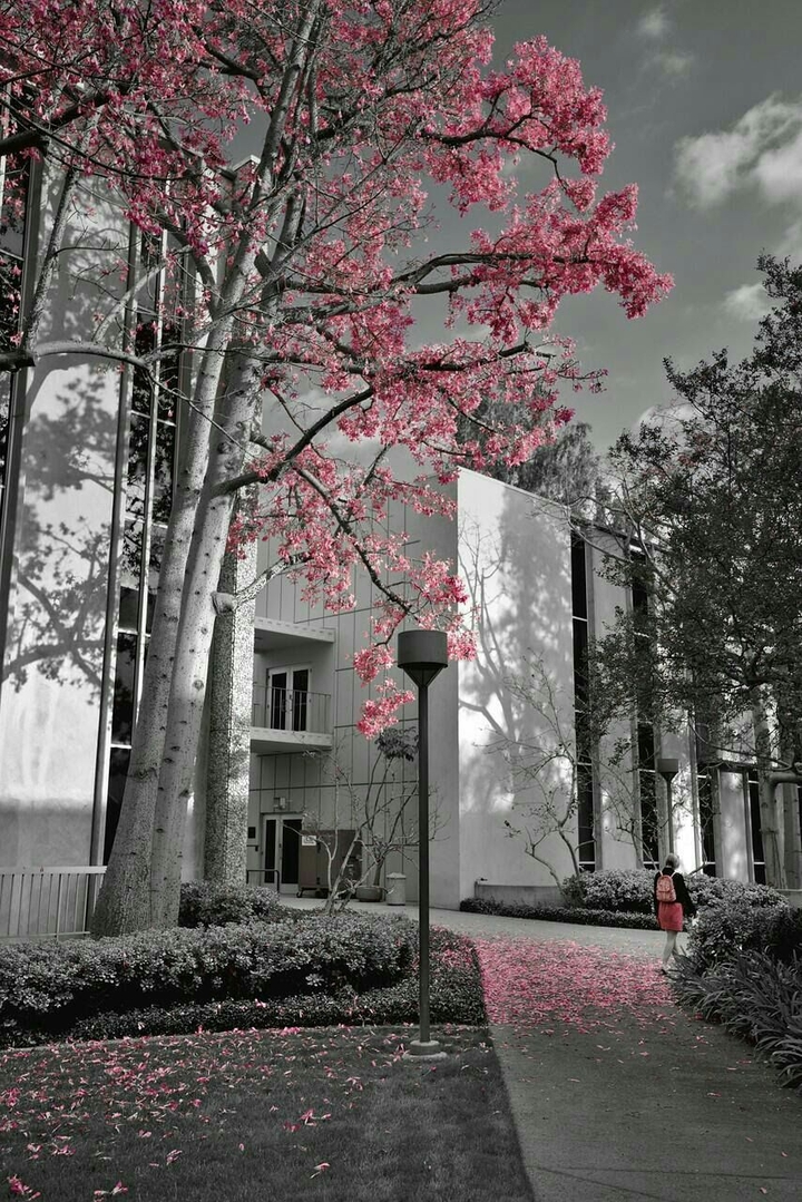 home 
