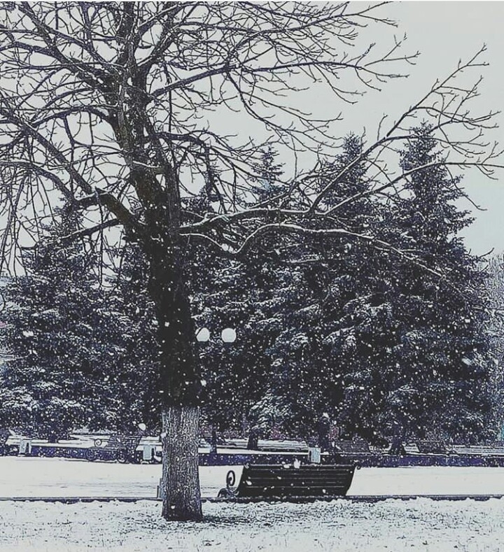 snow