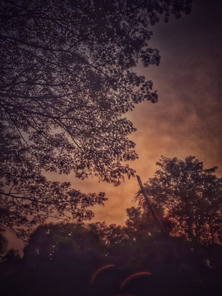 Night vision