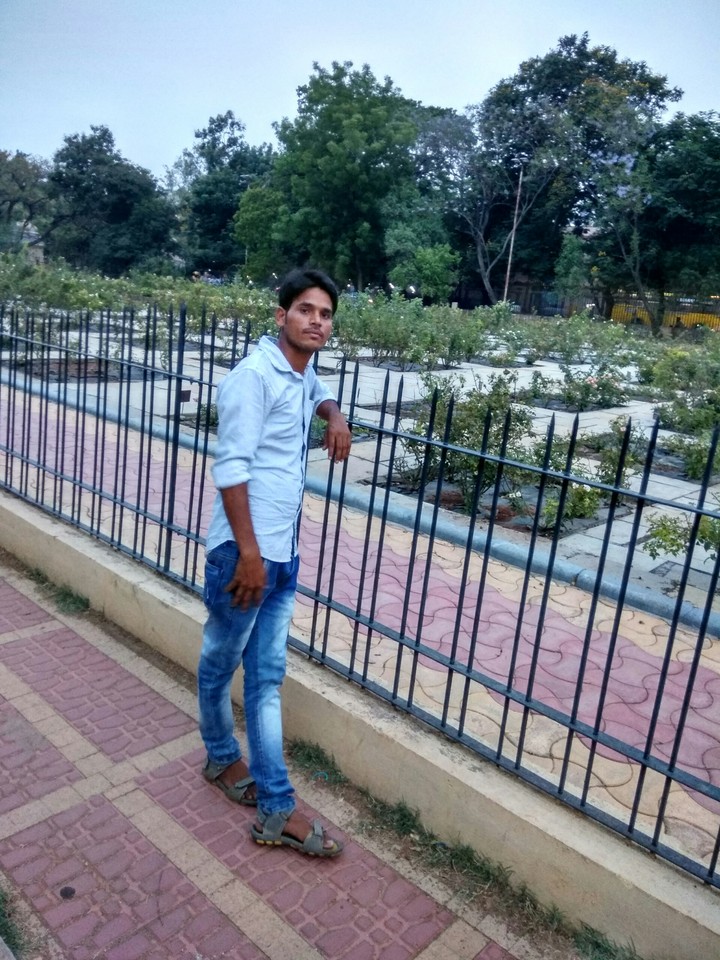 RisHi