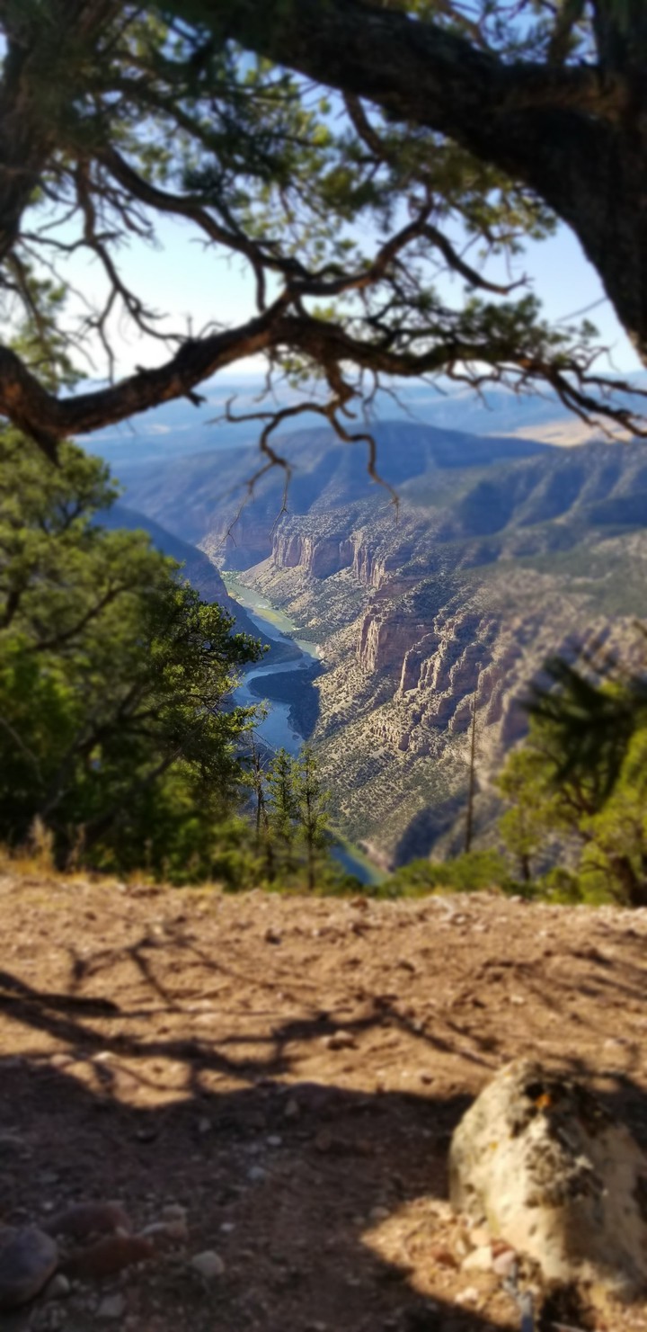 Harpers Corner Utah