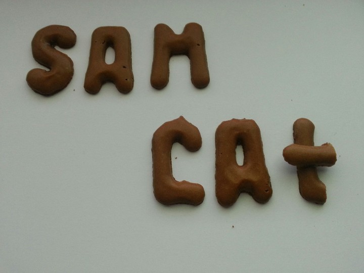 Sam Und Cat